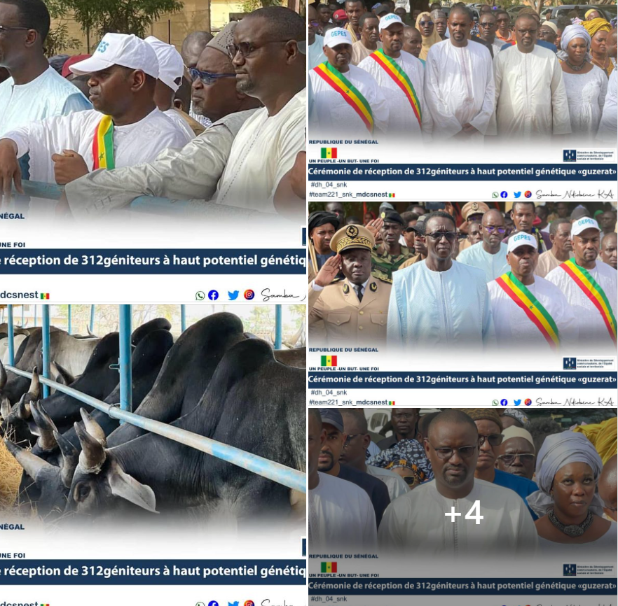 Cérémonie de réception de 312 géniteurs à haut potentiel génétique "GUZERAT"